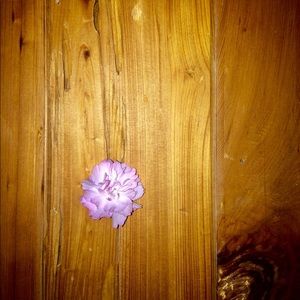 Meet your Posher, Josie